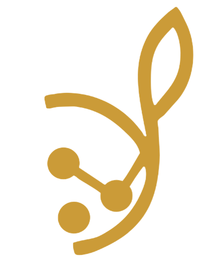 Afrik Diaspora Invest